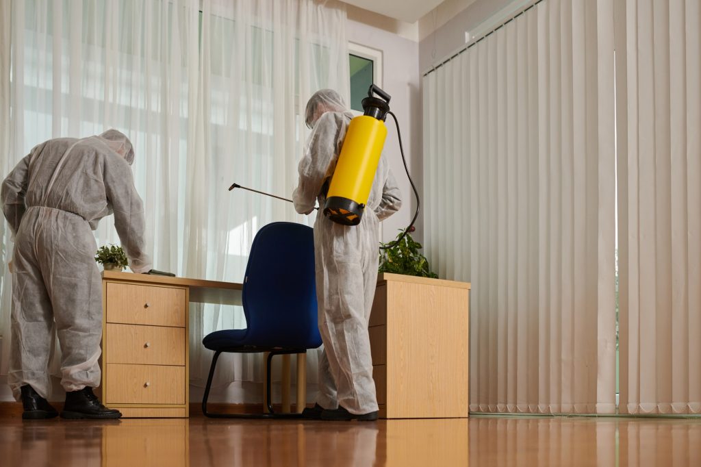 Pest control service